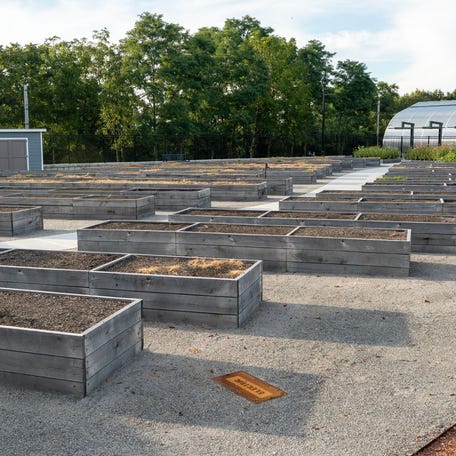 A community garden of raised beds has opened in Green Hill Park.
