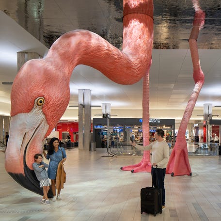 Phoebe the flamingo at Tampa International Airport