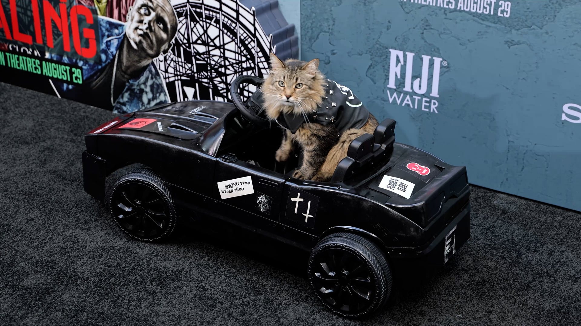 洋楽 animal car Super Cat Mandela Land Mandela Land - YouTube