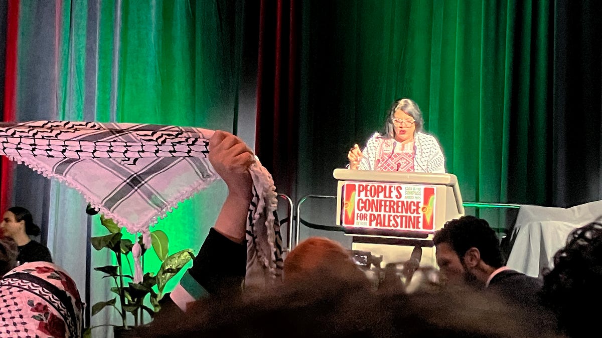 Tlaib tells pro-Palestinian activists to continue protest: ‘We are winning’ Tlaib tells pro-Palestinian activists to continue protest: ‘We are winning’