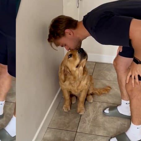 No kiss, no kibble! Golden retriever has the sweetest pre-meal ritual.