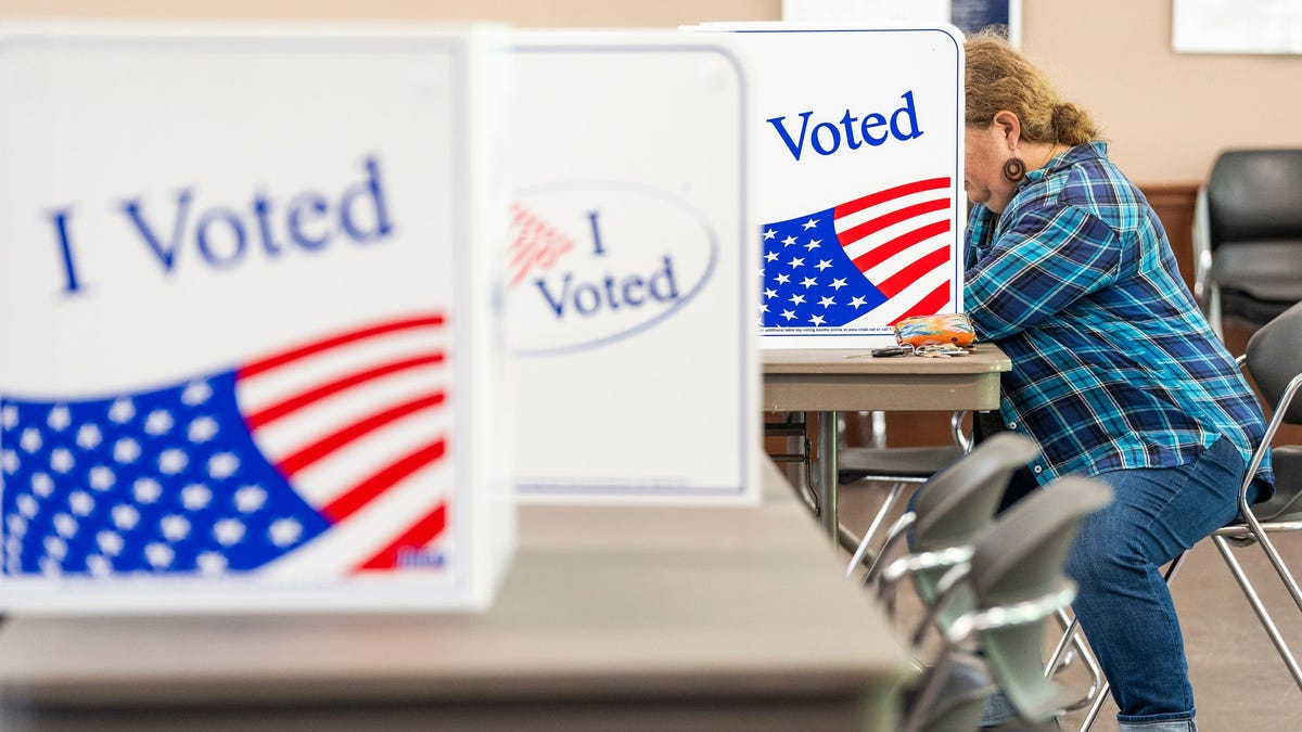 Voters cast their early votes at the New Harvest Park early voting location in Knoxville on August 6, 2025.