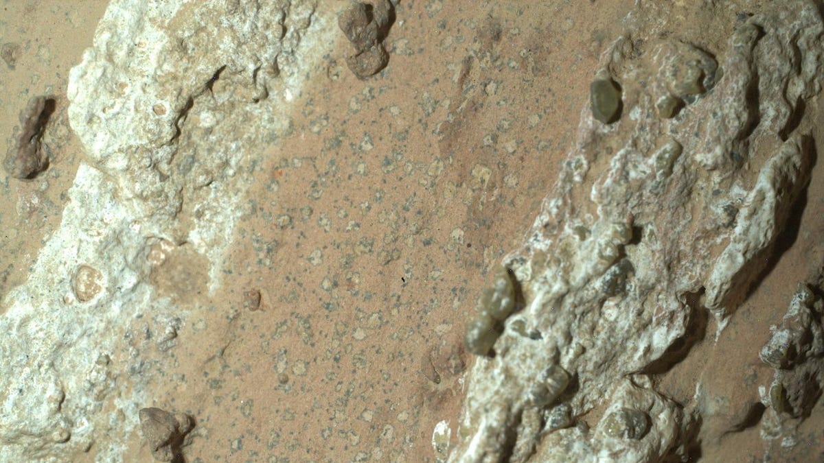 A reddish rock nicknamed "Cheyava Falls", with features resembling leopard spots was discovered by NASA's Perseverance rover in Mars' Jezero Crater in July 2024, in this handout photograph released on September 10, 2025.