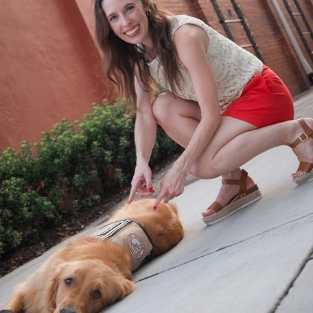 Do's and don'ts of interacting with working dogs.