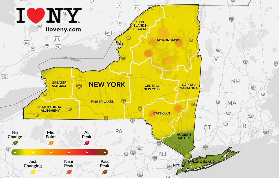 NYC Fall Foliage Report: Where to Find the Best Autumn Colors!