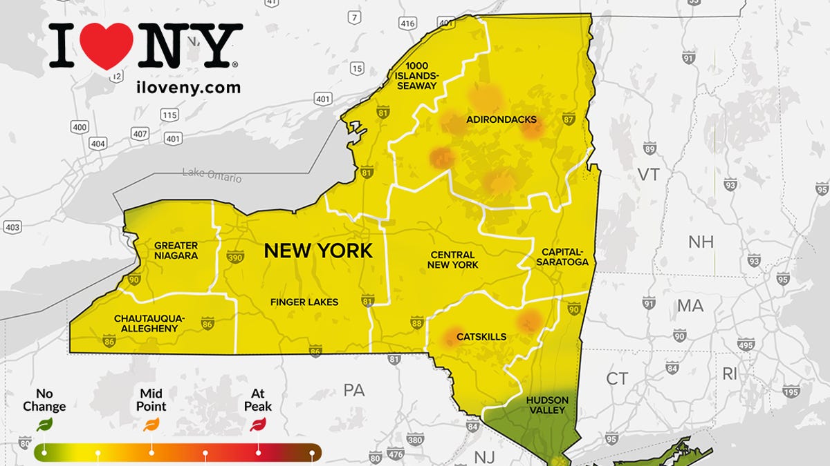 NYC Fall Foliage Report: Where to Find the Best Autumn Colors!