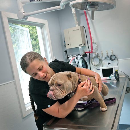 Pet care costs are rising as veterinary care becomes more sophisticated.