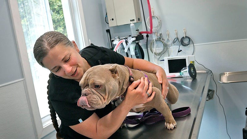 Pet care costs are rising as veterinary care becomes more sophisticated.