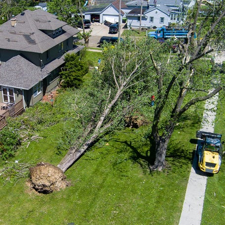 Defending your home against natural disasters can include making sure trees won't come into contact with the structure.
