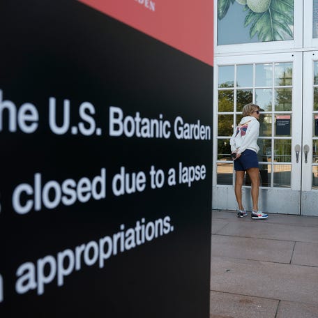 Visitors look through the window of the closed U.S. Botanical Gardens during the federal government shut down on October 1, 2025 in Washington, DC.