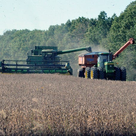 One of the main crops harvested in the fall is soybeans as can be seen in this field near Creston.