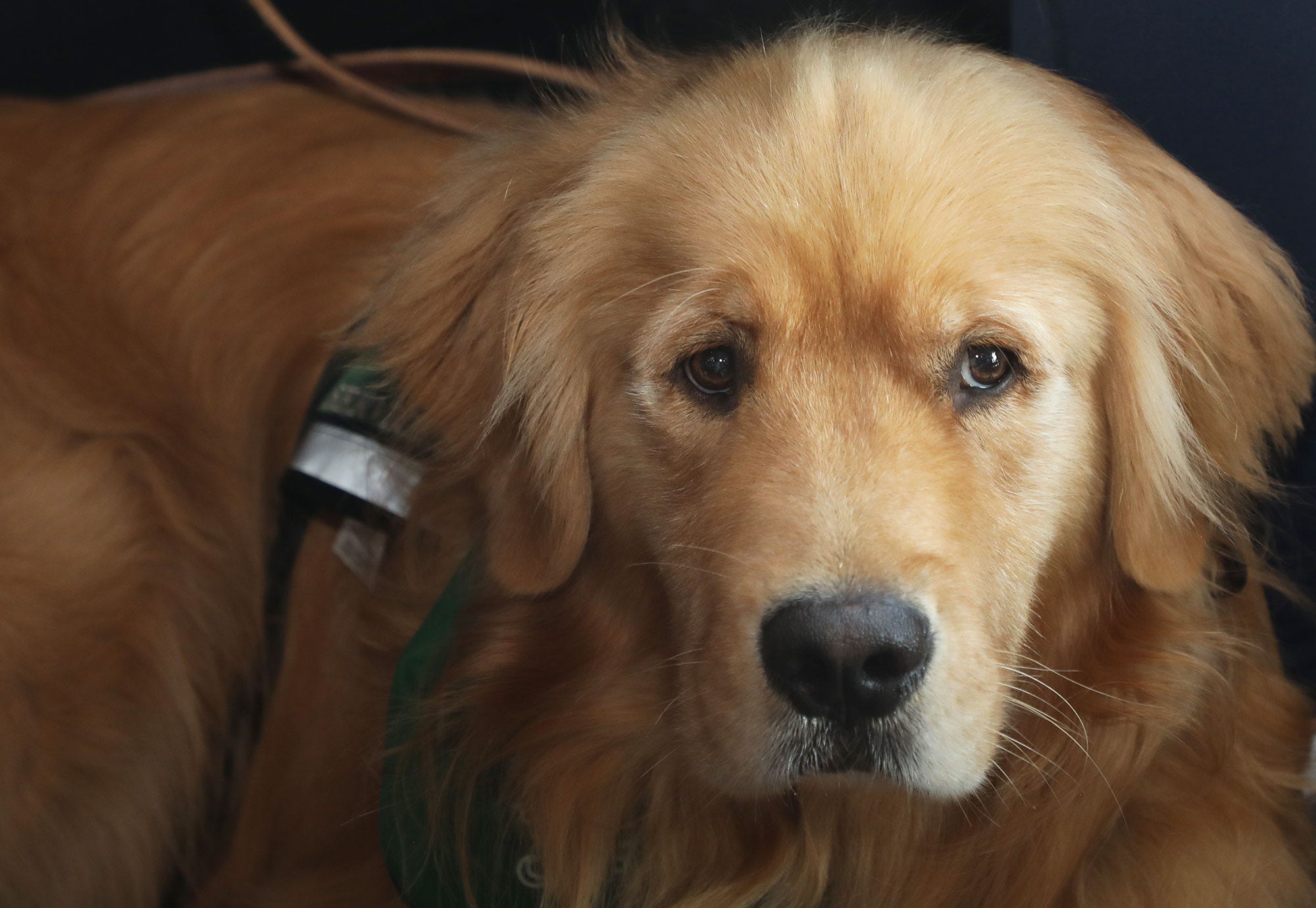 3 News Article Image 2025 Cybersecurity Person des Jahres: Nir Zuk, Gründer und CTO von Palo Alto Networks