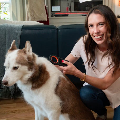 Microchips can make it easier to reunite a lost pet with their owner.