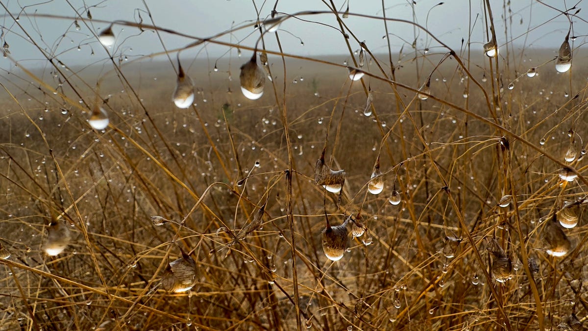 Storm headed to Southern California; residents near burn scars should take precautions Storm headed to Southern California; residents near burn scars should take precautions