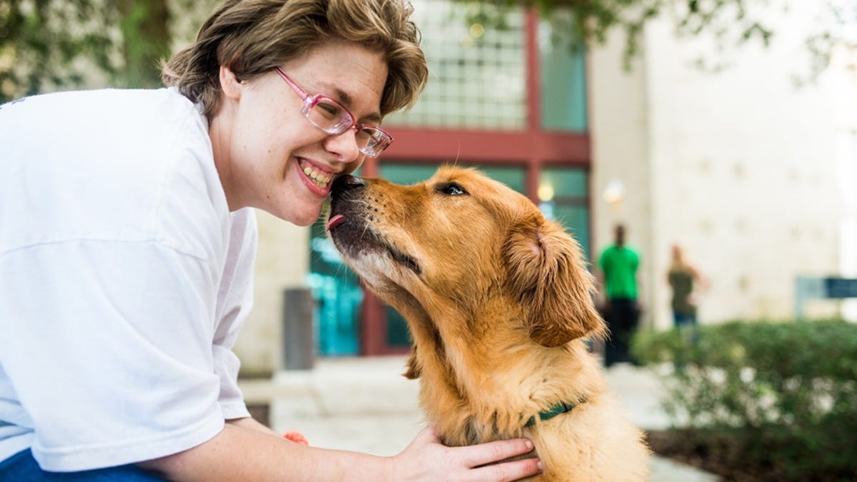 FAU study shows how female veterans benefit from service-dog training FAU study shows how female veterans benefit from service-dog training