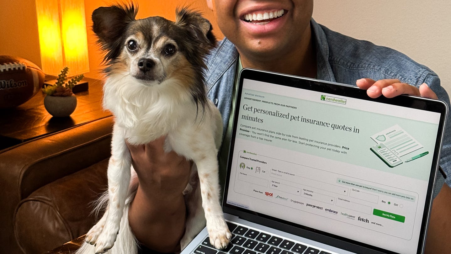 Is pet insurance worth it? Here's what you need to