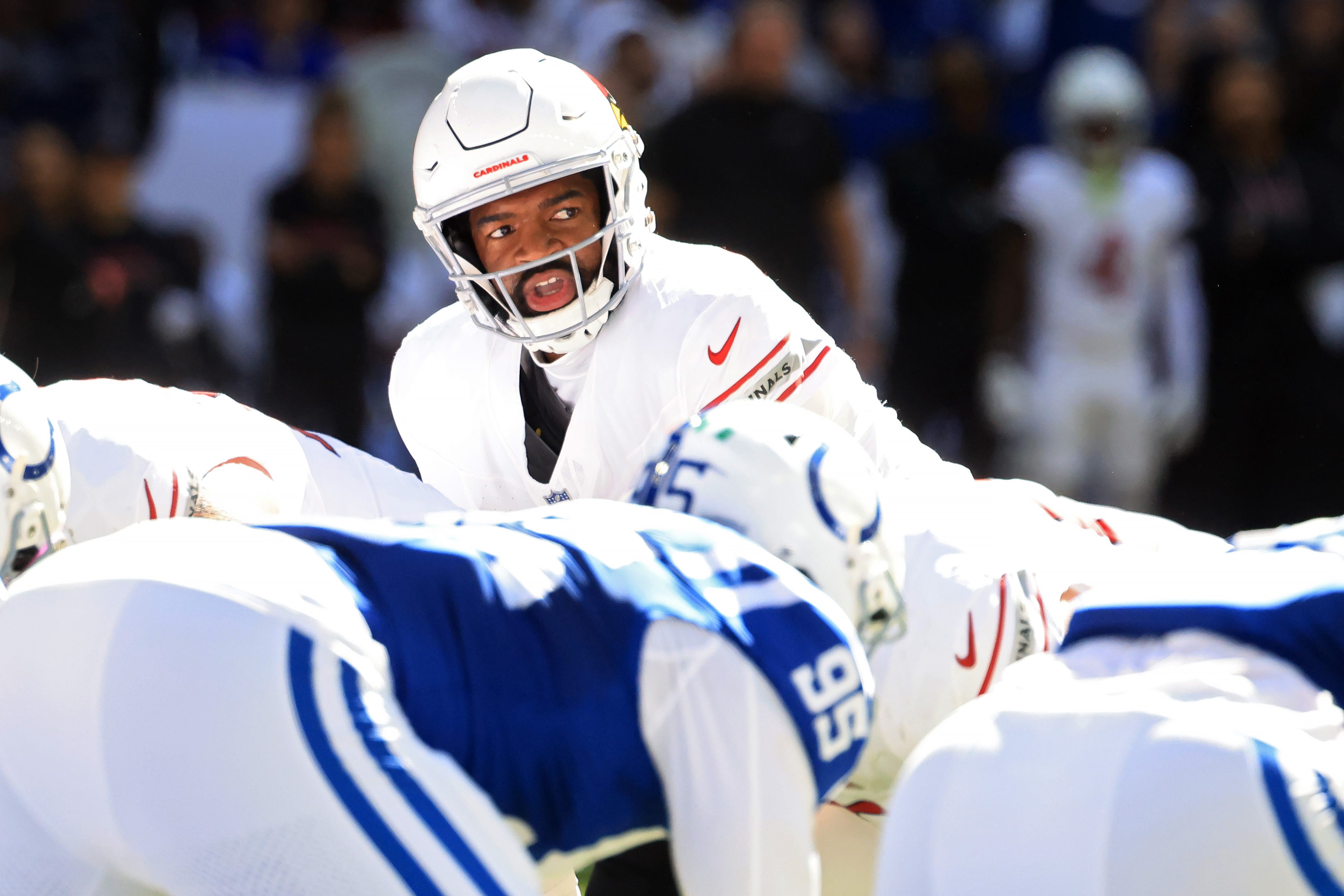 What does Jacoby Brissett's performance mean for Kyler Murray?