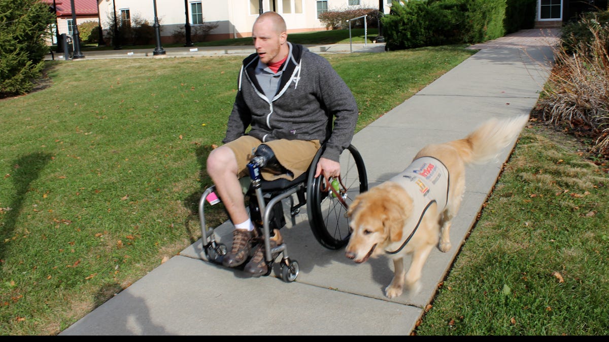 Watch veteran find healing and purpose through bond with service dog