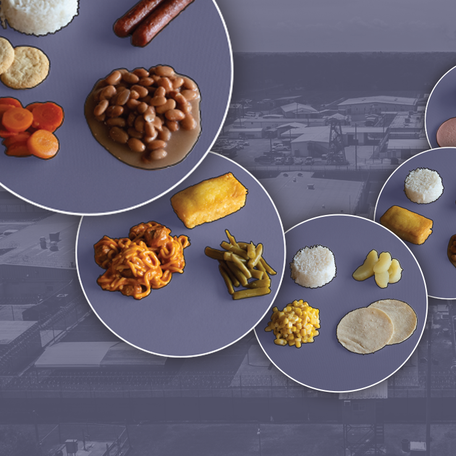 Topper for ICE detention center food article