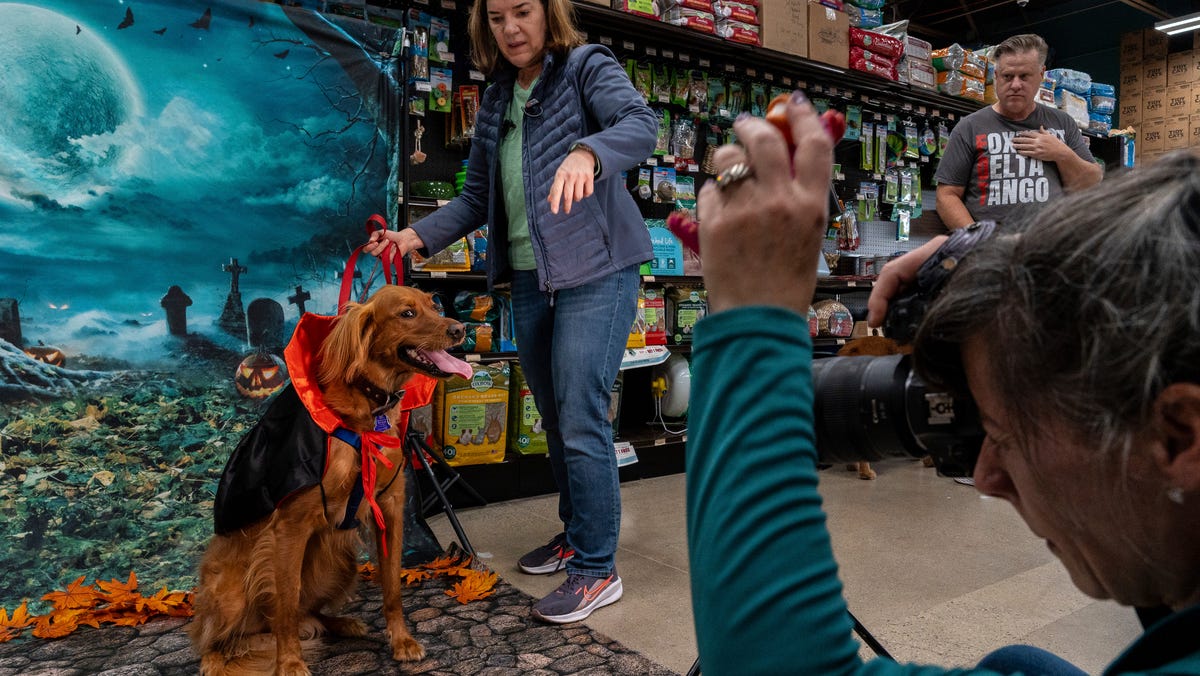 Pet parents pay millions for Halloween costumes for their animals Pet parents pay millions for Halloween costumes for their animals