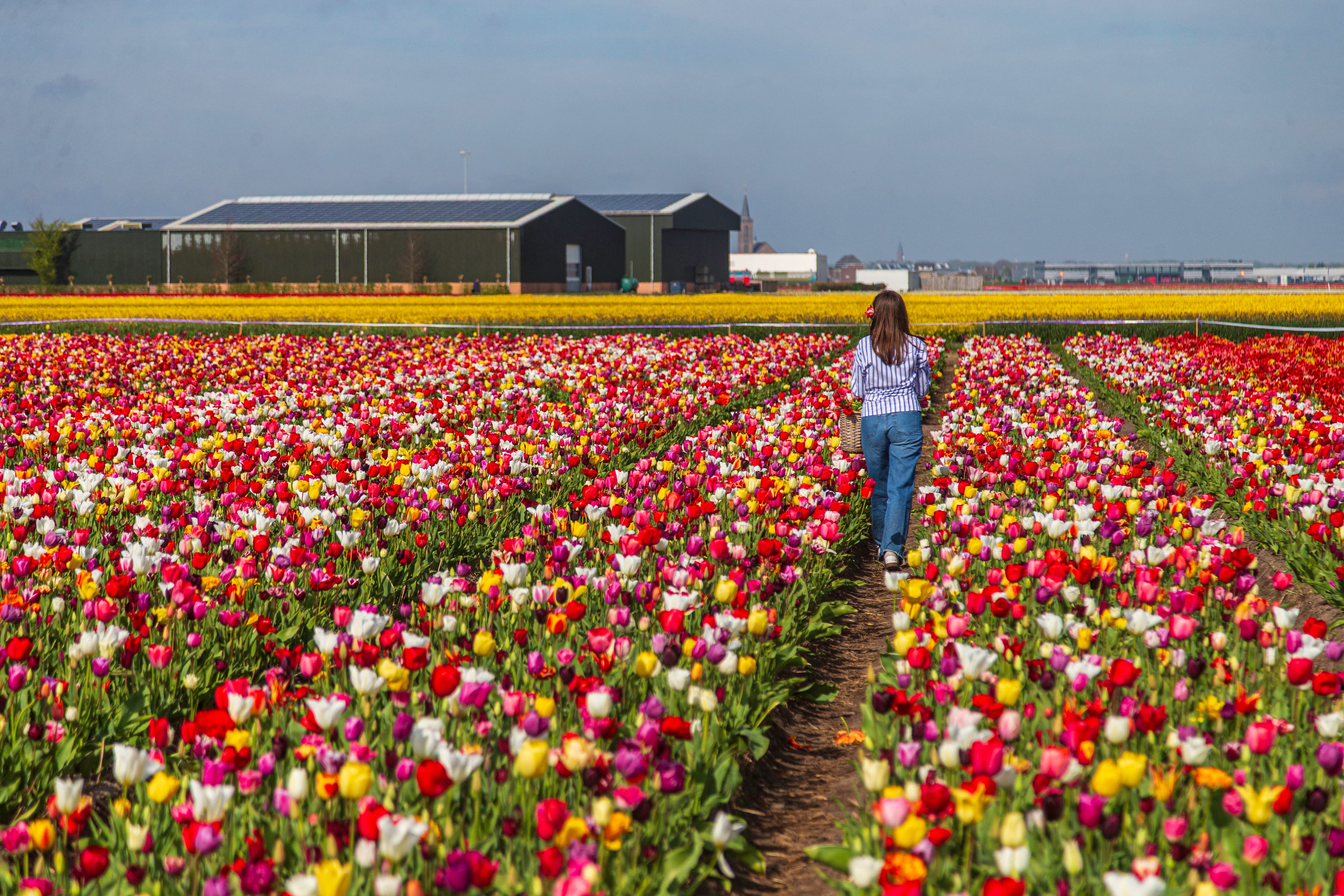 These are the 15 safest countries and cities to visit in 2026