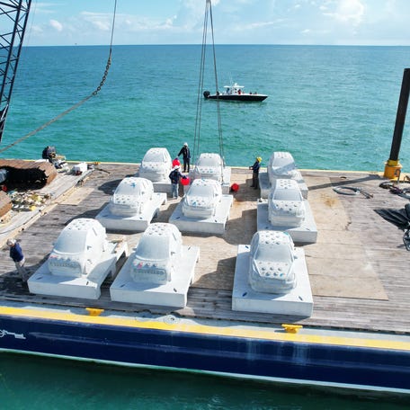 Miami Beach aims to raise $40 million to extend the underwater sculpture parks across 7 miles, the length of Miami Beach, and plant thousands of corals.