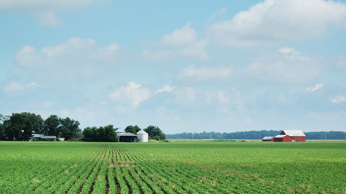 The oldest farm in CT was founded over 100 years before the country. Here’s where it is The oldest farm in CT was founded over 100 years before the country. Here’s where it is