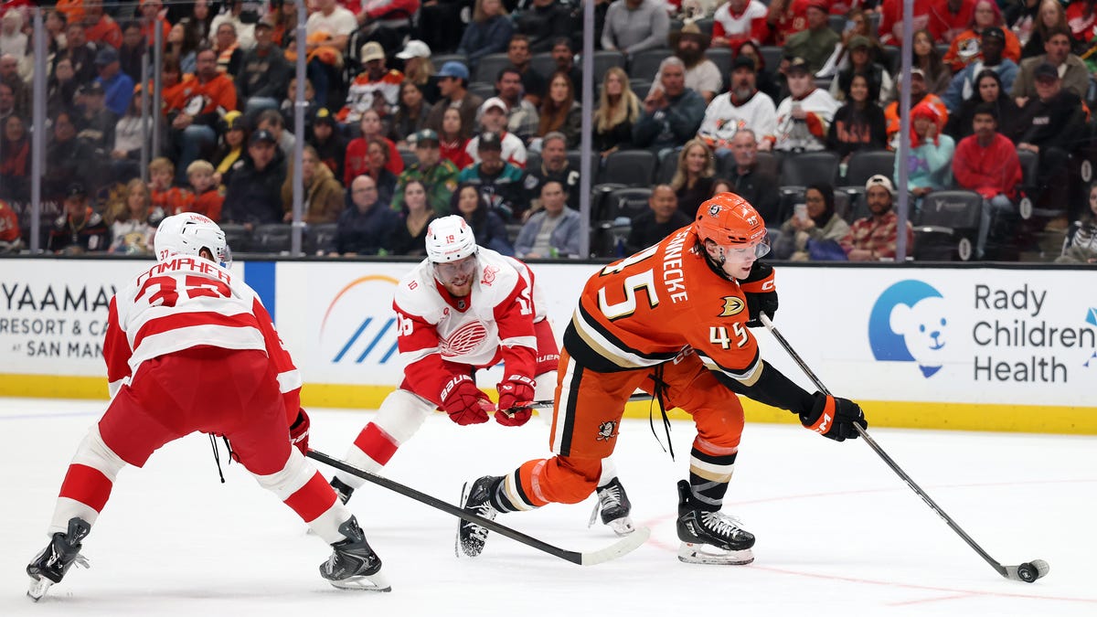 Detroit Red Wings’ 3-game win streak quacks up vs Ducks on 2nd night of SoCal back-to-back Detroit Red Wings’ 3-game win streak quacks up vs Ducks on 2nd night of SoCal back-to-back
