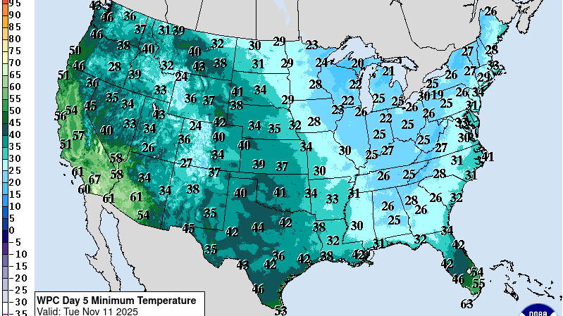 The forecast low temperatures for next Tuesday Nov. 11, 2025, show widespread below-freezing temperatures as far south as the Gulf Coast.