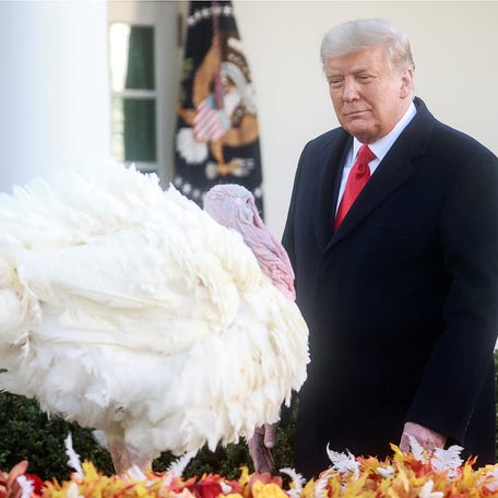 President Donald Trump at the annual turkey pardoning event in the Rose Garden at the White House in Washington, DC, on Nov. 24, 2020.