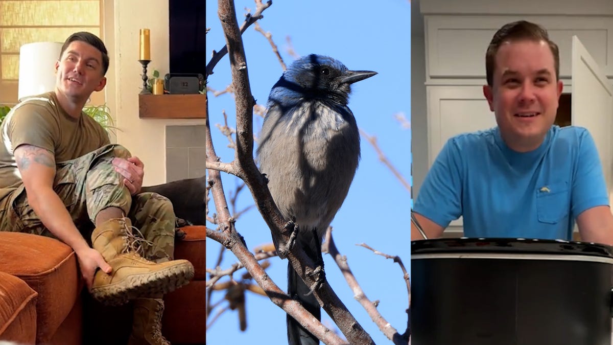 The "bird theory" is a social media trend that's testing relationships and seeing how attentive partners are.