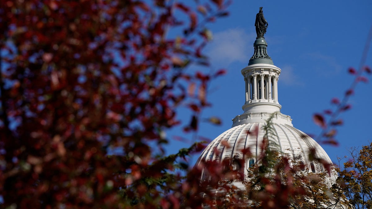 The U.S. Capitol building dome is pictured more than a month into the longest government shutdown in history.