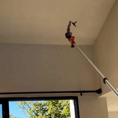 A quick-thinking couple managed to lure a lost hummingbird out of a condo in Oxnard, California, recently posted footage shows.