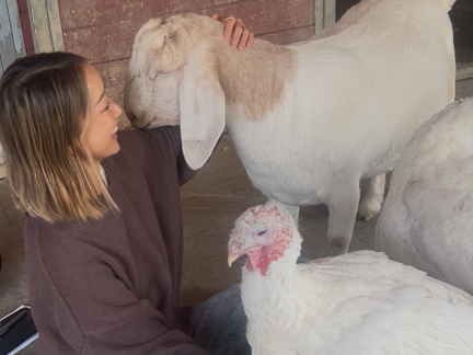 Screenshot 2025-11-20 at 12.11.52 PM.png