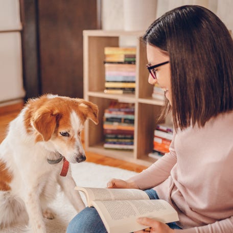 Stuck brainstorming a good dog or cat name? Turn to your favorite books, like "Lord of the Rings" or "Fourth Wing," for inspiration.