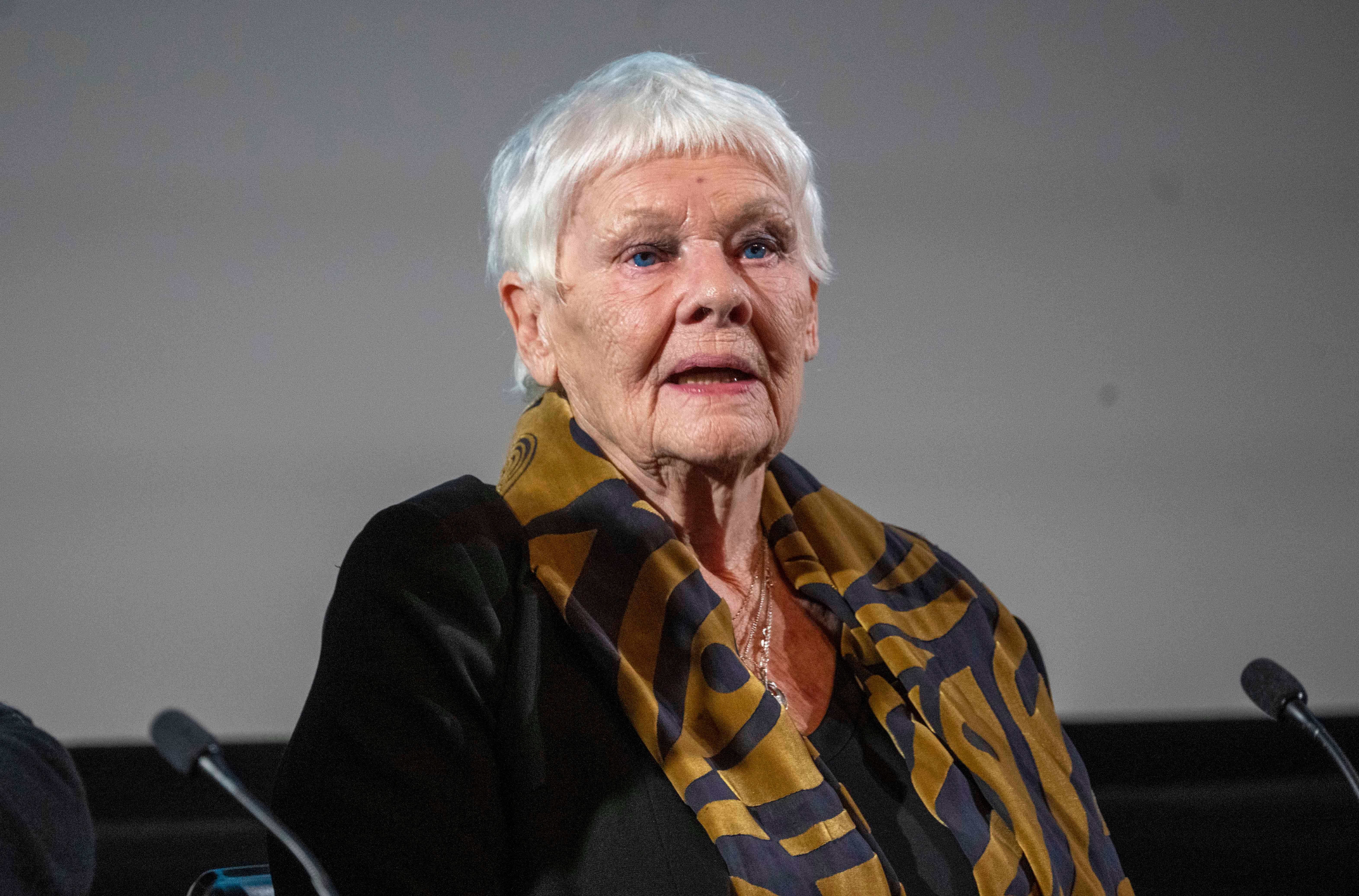 Judi Dench reveals she 'can't recognize anybody' due to eye condition