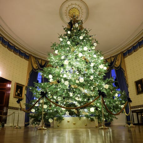 The White House Christmas tree is seen in the Blue Room during an advance tour of the 2025 White House Christmas decorations on Dec.1, 2025 in Washington, DC. The theme for this year's White House Christmas decorations is "Home Is Where The Heart Is."