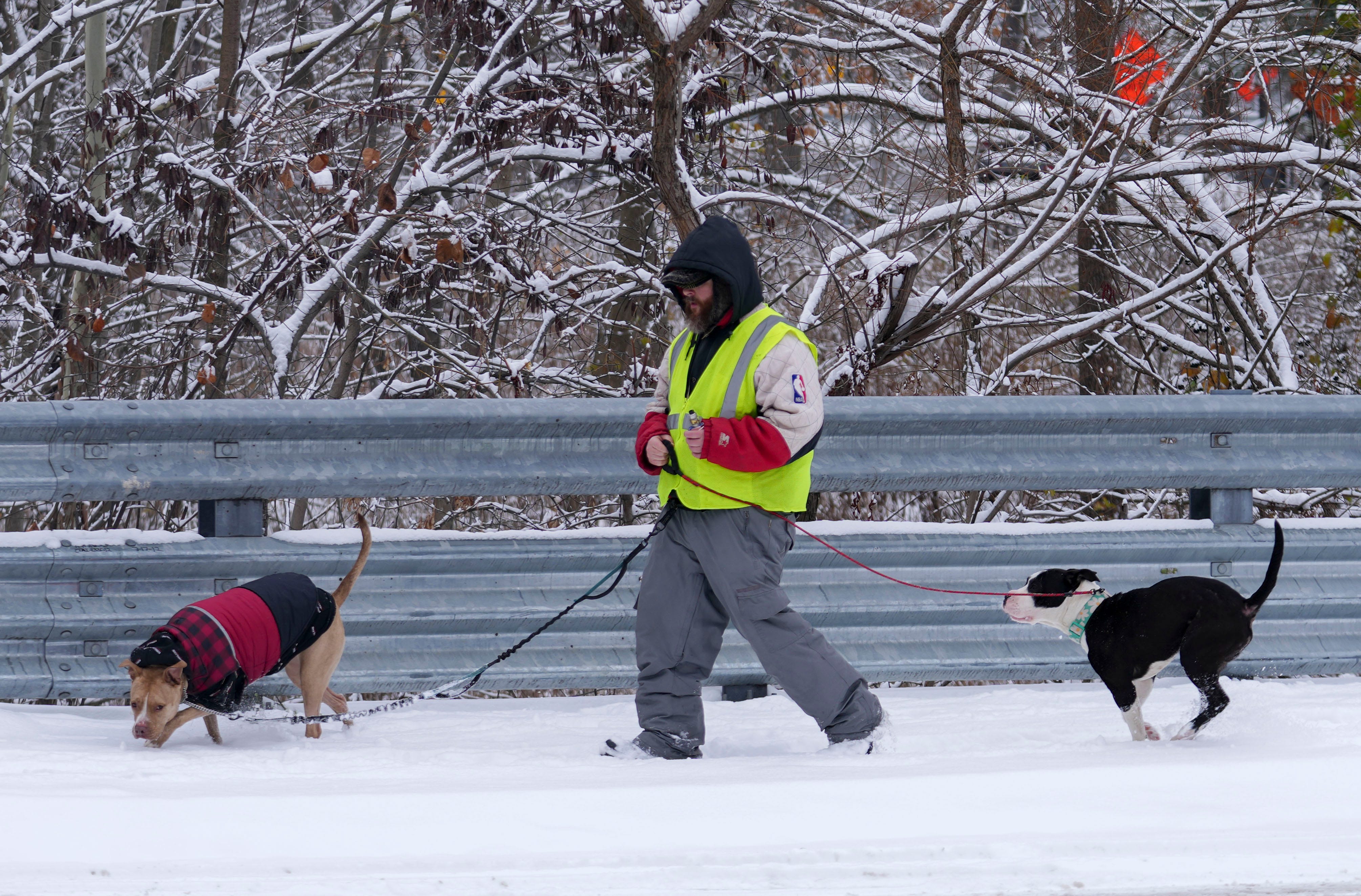 How to report neglected pets during freezing temperatures in Indianapolis