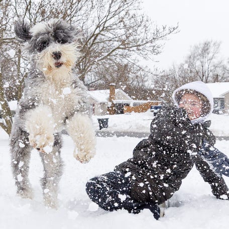 Harper Martinez, 13, plays with her 1-year-old dog, Franky, in the snow on Monday, Dec. 1, 2025, in South Bend.