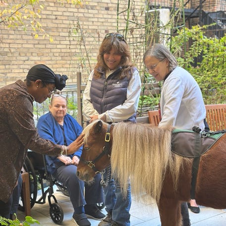Therapy ponies visit seniors in NYC high-rise for a day of joy and nostalgia thumb