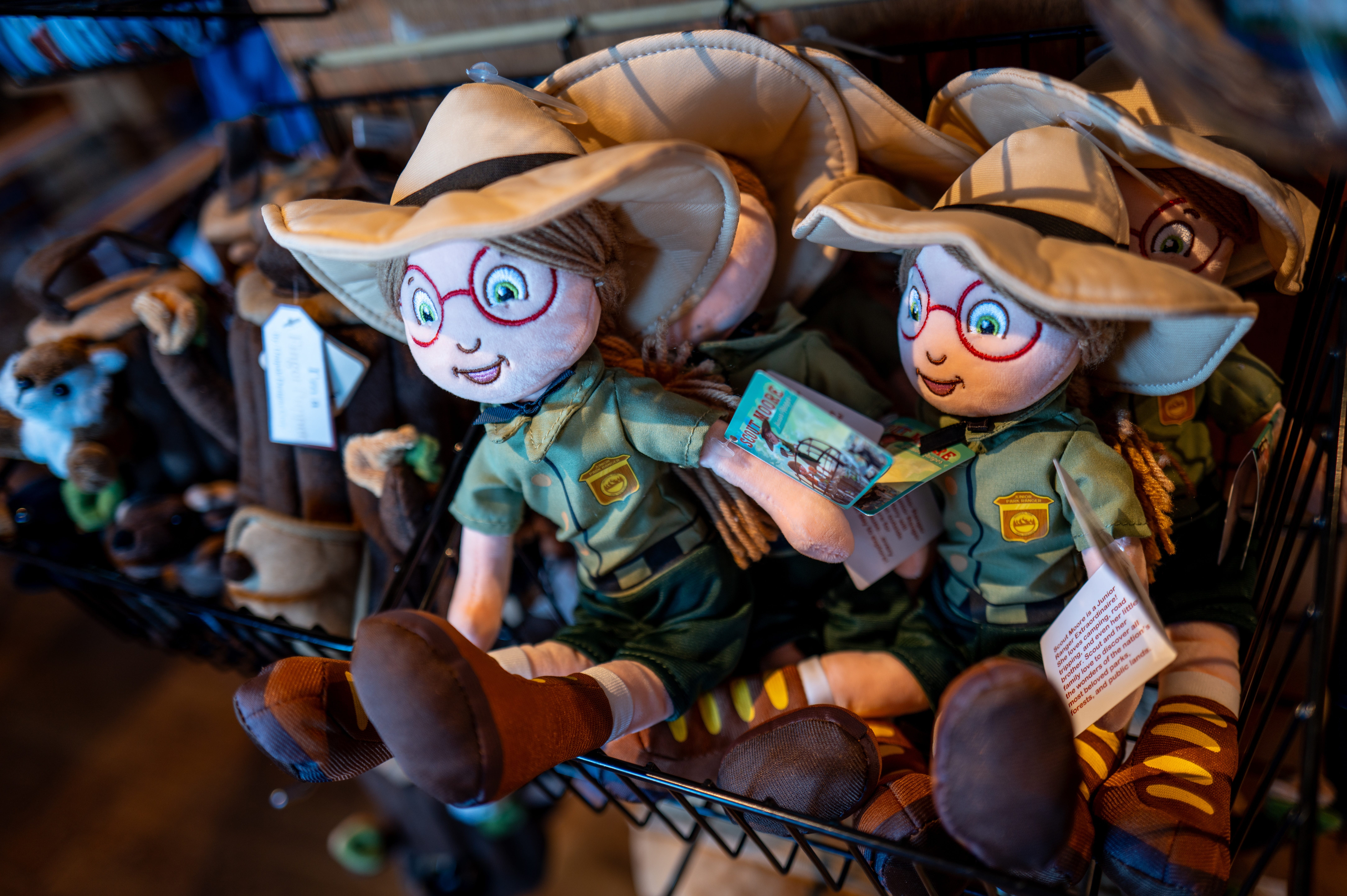 National parks to pull DEI-type items from gift shops