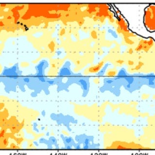 La Niña is marked by cooler-than-average sea water in the equatorial Pacific Ocean (in blue).
