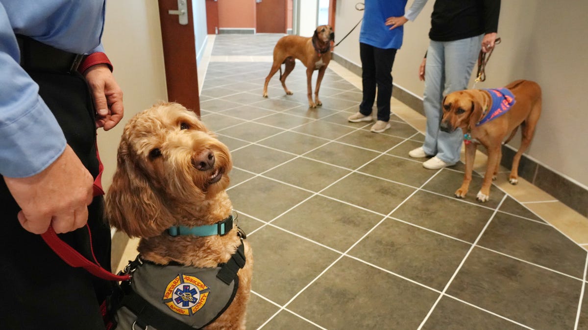 Brevard rethinks mental health support for first responders Brevard rethinks mental health support for first responders