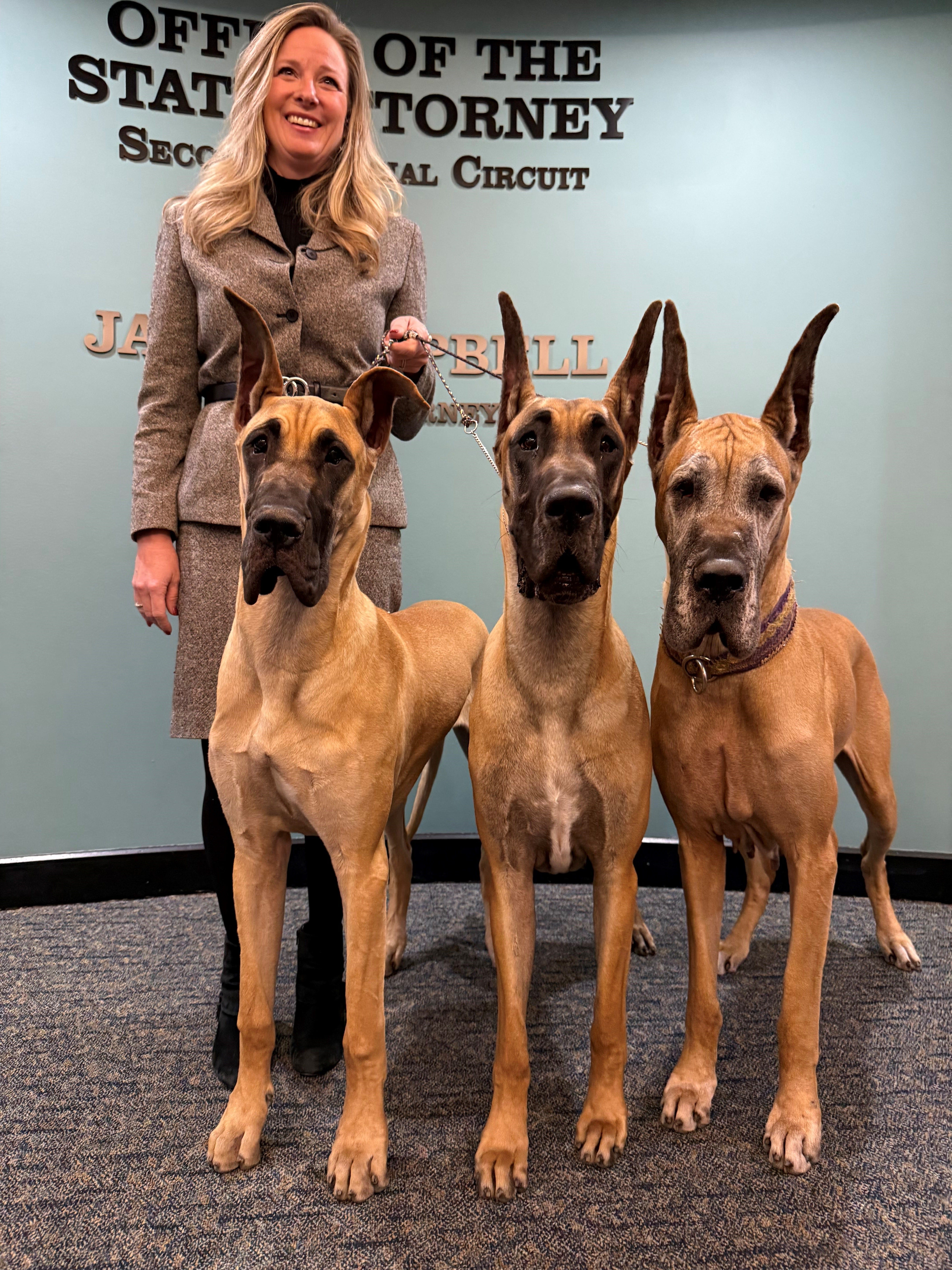 Great Dane named Georgia Cappleman celebrates Markel case work