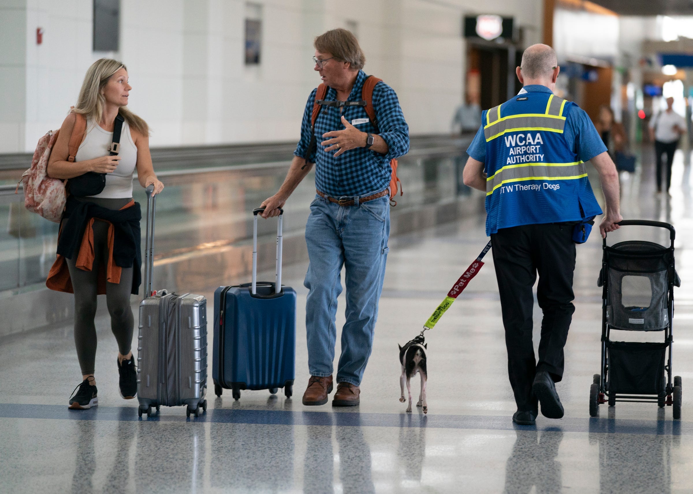 How to fly with your pet safely during busy holiday travel