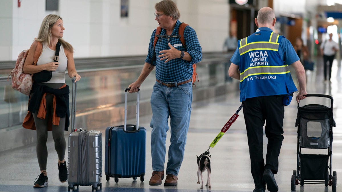 How to fly with your pet safely during busy holiday travel How to fly with your pet safely during busy holiday travel