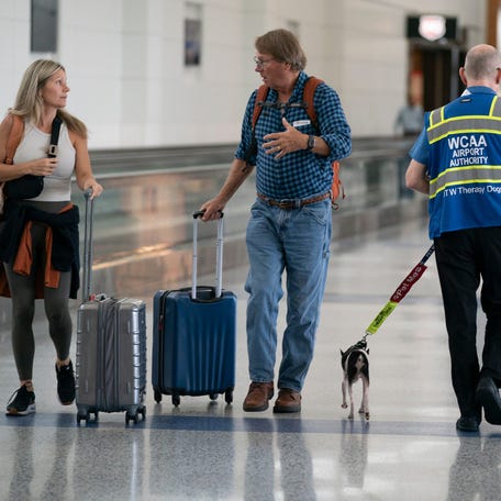 John Palladino, 55, of Ann Arbor and his 9-year-old Toy Fox Terrier named Kevin grace willing passengers at the Evan Terminal at the Detroit Metropolitan Wayne County Airport (DTW) before they board their planes on Wednesday, Sept. 25, 2025.