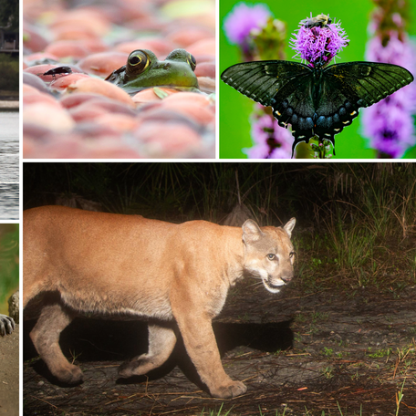 USA TODAY's 2025 Wildlife Pictures of the Year.