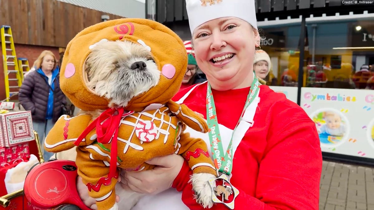Deck the dogs! Watch pups parade in their Christmas best
