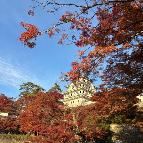 Hiking up Gujo Hachiman Castle gives travelers a gorgeous lookout point over the town of Gujo.